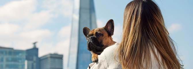 Customer with dog with The Shard in the background