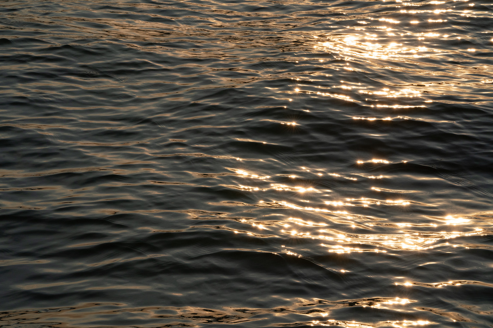 Sunrise Water (1)