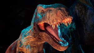 Jurassic World The Experience, T Rex Min