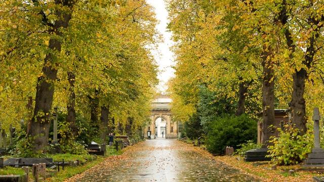 Brompton Cemetery Autumn Leaves In Brompton Cemetery Photo Max Rush Image Courtesy Of The Royal Parks 3A50edb3031b803a