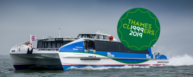 20 Anniversary 624X250 5623E5bc7c